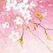 Kayoko Miyayama Gallery